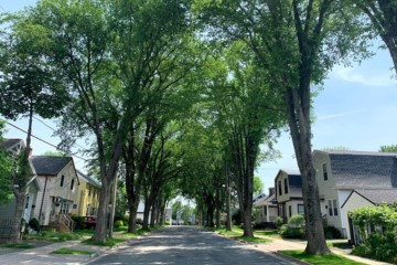 A tree-lined street of Halifax