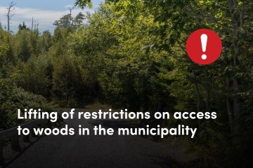 an image of a trail in the woods surrounded by trees on a summer day with a message that reads Lifting of restrictions on access to woods in the municipality