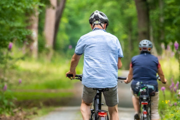 Two cyclists ride on a tree-lined path surrounded by greenery.