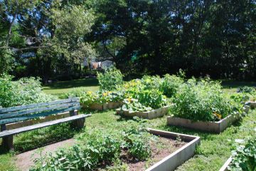 A series of raised garden beds. 