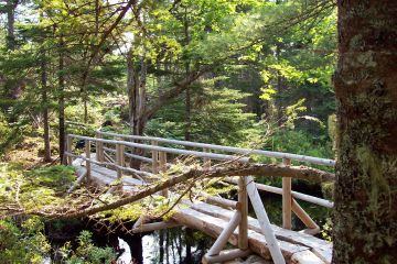 Bridge on the Crowbar Trail