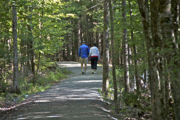 Couple walking along trail with lots of trees beside the crusher dust path