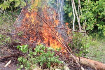 Close up photgraph of a medium size brush pile burning on a sunny day