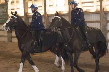 Sarge and Valour with their partners Constable Ryan Morash and David Gallivan