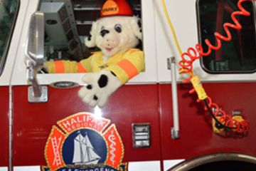 Photograph of Sparky the Fire Dog driving a fire truck with a Halifax Regional Fire & Emergency Logo on the side.