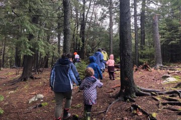 kids walking in the woods