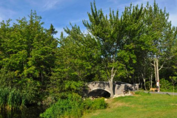 a park with mature green trees and a small stone bridge