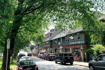Trees lining a street of shops in the Hydrostone