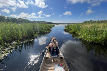 Image of LakeWatchers volunteer rowing out onto a sunny lake.