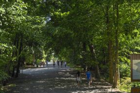 Walkers enjoy a shady trail in Point Pleasant Park