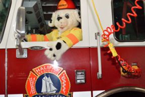 Photograph of Sparky the Fire Dog driving a fire truck with a Halifax Regional Fire & Emergency Logo on the side.