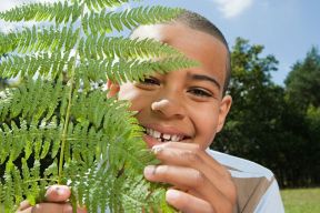 child hides behind fern