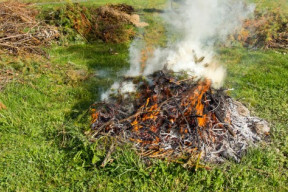 Image depicting a controlled smoldering brush fire in a fire pit