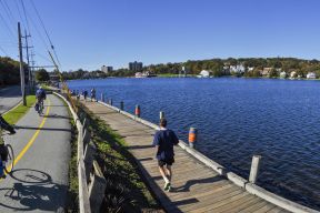Two cyclists bike along Lake Banook alongside a person that is jogging.