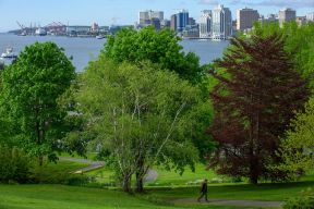 The Halifax Skyline is seen from the Dartmouth Commons while a person walks up a footpath