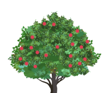 Apple Tree (Malus species or Wenju'su'naqsi)