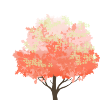 Peach Tree (Prunus persica)
