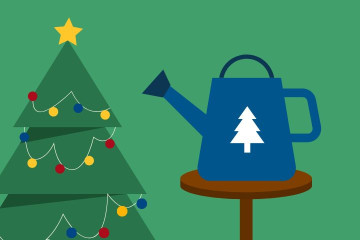An illustration of a lit Christmas tree with a watering can placed on a table beside the tree. 