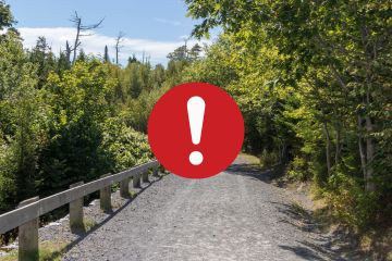 Alt text: A photo of a wooded trail in a municipal park with a bright red exclamation mark pictogram in the foreground.