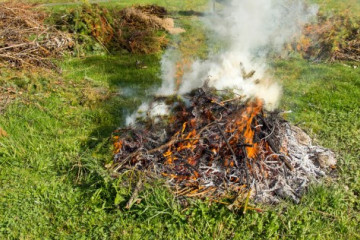 Photo of a safely burning pile of leafs